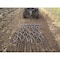 Field Tuff Heavy Duty Drag Harrow 6x8 HDHA-68 - alternate 4